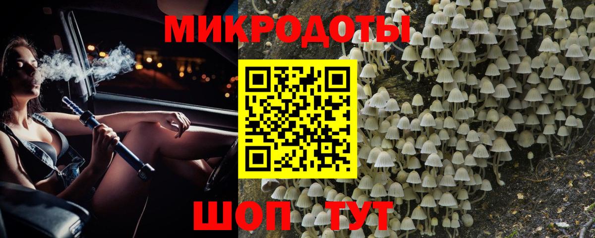 Галлюциногенные грибы мухоморы Воронеж