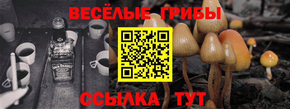 сколько стоит  Вход с VPN  Галлюциногенные грибы прущие грибы  Воронеж  Псилоцибиновые грибы MAGIC MUSHROOMS 